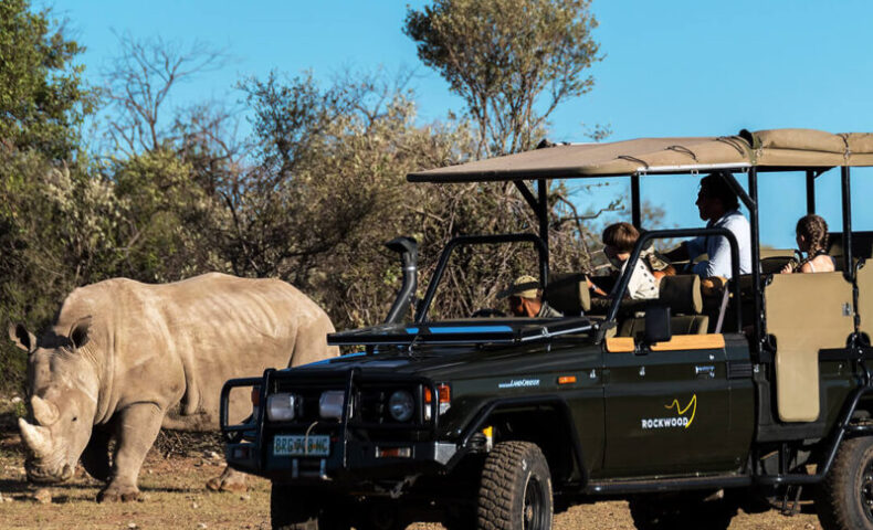 Rhino Watching