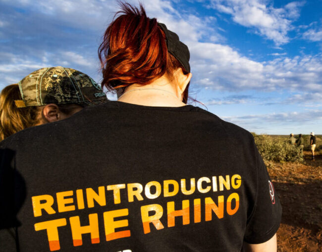 rhino volunteering