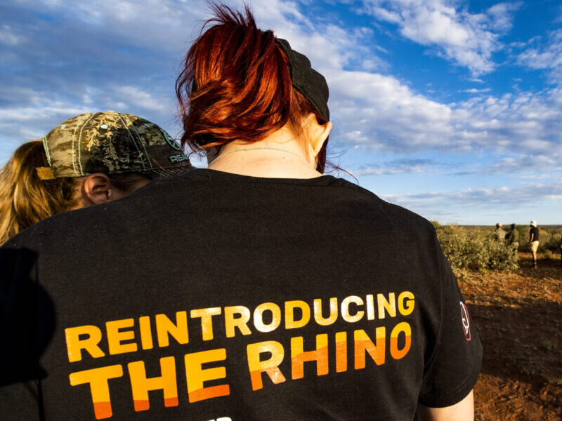 rhino volunteering