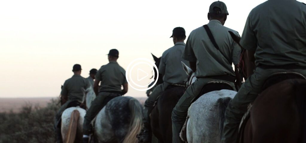 rangers riding horses