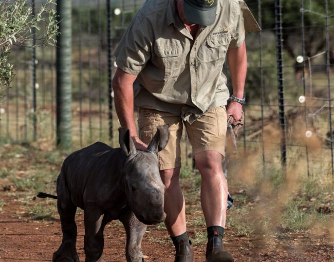 Rockwood Conservation Rhino Nursery