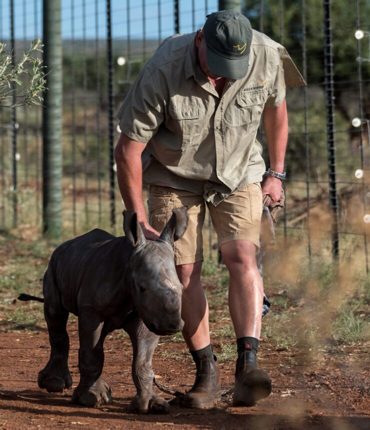 Rockwood Conservation Rhino Nursery