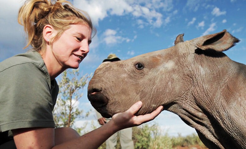 Baby Rhino Interaction