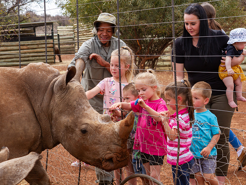 Rockwood Rhino Interaction