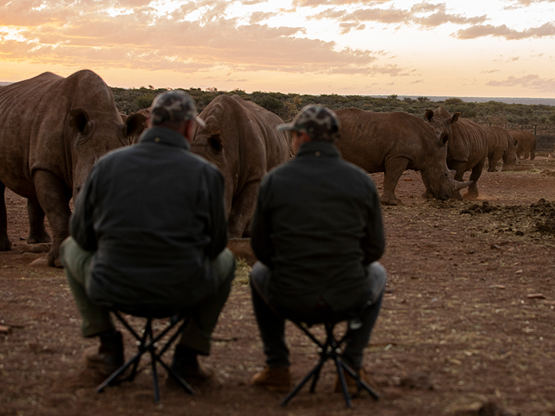 Rockwood Rhino Viewing