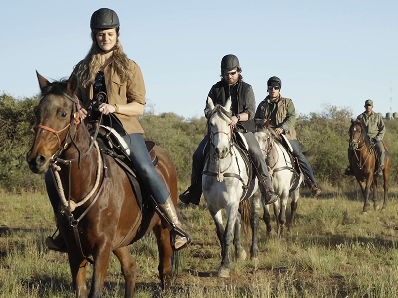 Rockwood Horseriding