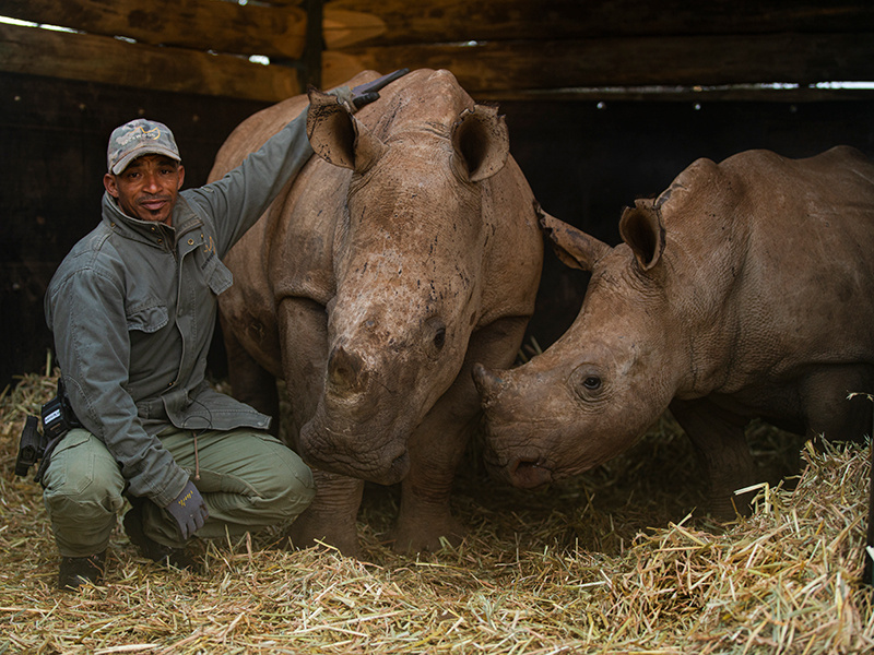 Rhino Nursery at Rockwood Conservation in South Africa